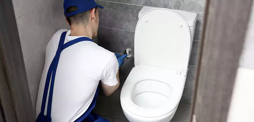 Toilet Lid Replacement in Saco