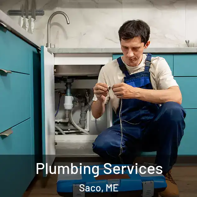 Plumbing Services Saco, ME