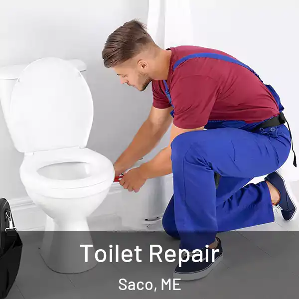  Toilet Repair Saco, ME
